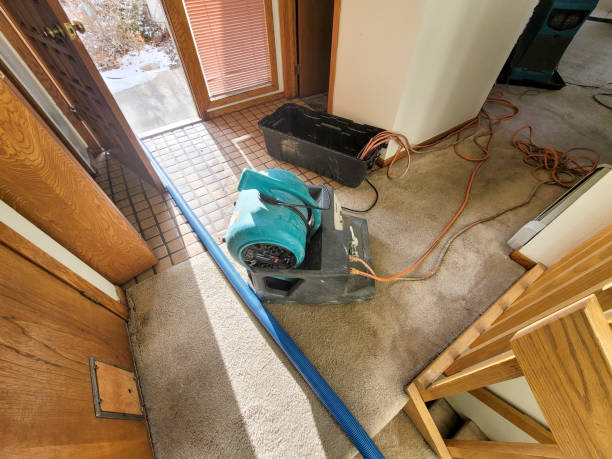  Dalton, PA Water damage restoration Pros
