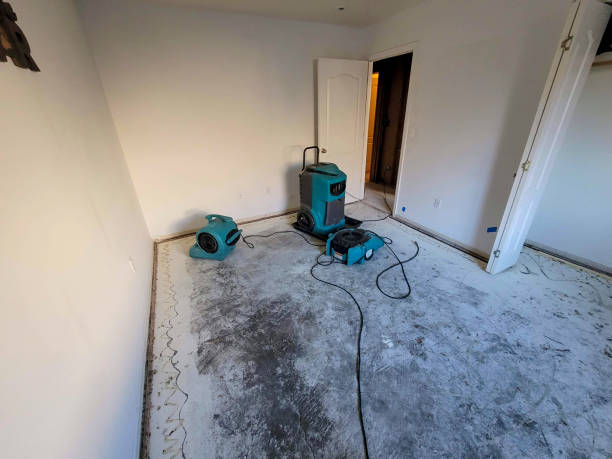 Best Basement water damage restoration  in Dalton, PA